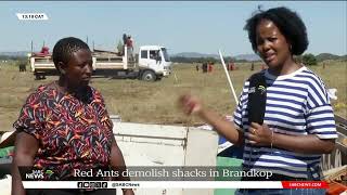 Land Occupation  Red Ants demolish shacks in Brandkop farm Bloemfontein [upl. by Ecnarolf]