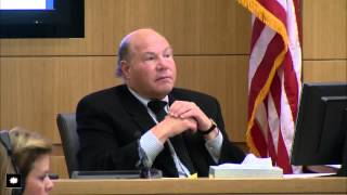 Jodi Arias Trial Day 34 Full [upl. by Anayrb]