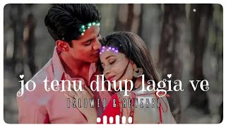 jo tenu dhup lagia ve  new mixing lofi song  Slowed amp reverb in hindi trending [upl. by Ynamreg]