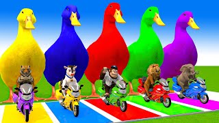 5 Giant Duck CartoonCowMammothDogTRexLionTiger Paint Wild Animals Crossing Fountain Animation [upl. by Krebs]