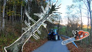 Farmers POV  Clearing Dangerous Hung Trees  New Holland T475 Husqvarna 353 [upl. by Ahsieat]