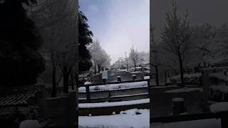 TOYAMA 雪 SNOW 降雪 積雪 ゆき 五福末広町 交差点 富山県五福公園 五福野球広場 県営富山野球場 富山県道44号 富山高岡線 富山市 drive ドライブ 2024年3月 [upl. by Luapsemaj712]