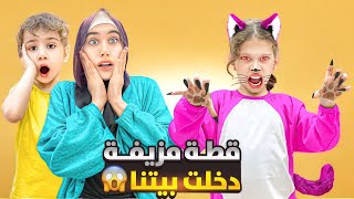 قطة مزيفة دخلت بيتنا طلعت شريرة 👿 حبست لولو واكلت العصفور😭😱 [upl. by Nitin]