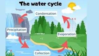 The water cycle for kids science education kids [upl. by Micro728]