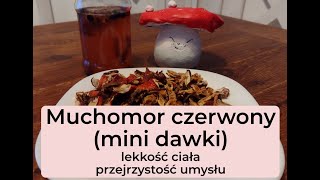 Muchomor czerwony amanita muscaria mini dawki  lekkość ciała i przejrzystość umysłu [upl. by Veronique649]