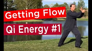 Taichi Qigong 18 Sections set 1 How to Boost your Immune System wwwmasternejadcom [upl. by Atalante367]