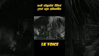 shorts sinhalashortstory movieinsinhala sinhalamoviereviews sinhalamoviecaps shortvideo [upl. by Thorfinn]