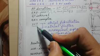 ANTIARRHYTHMIC DRUGS class 1 and class 3  USMLE STEP 1 CARDIAC PHARMACOLOGY [upl. by Dimitri]