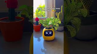 You finally found a way to keep your plants alive smartplant smartpot [upl. by Junno168]