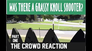 Was There a Grassy Knoll Shooter Part One [upl. by Glenine]