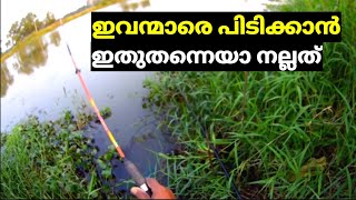 Fishing malayalam  Kerala fishing videos  Maneesh Fish hunting channel [upl. by Gad]