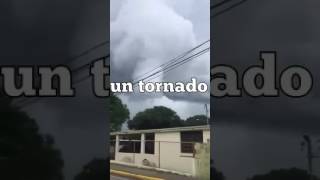 Tornado en manati puerto rico [upl. by Wyatt]