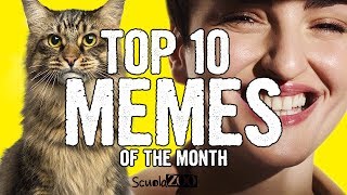 TOP 10 VIDEO MEME del MESE 13  ScuolaZoo [upl. by Ehrenberg]