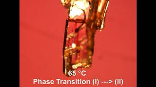 Polymorphism and phase transition [upl. by Batha]