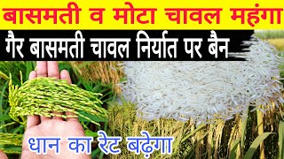 धान का रेट बढ़ेगा क्या।चावल निर्यात पर बैन।chawal niryat par rok  rice export ban from india [upl. by Areit262]