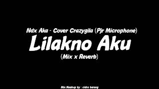 Lilakno Aku  Ndx Aka  Cover Crazygila  Pjr Microphone Mix x Reverb CIDRO BARENG🎧 [upl. by Endo]