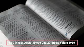 La Biblia En Audio Éxodo Cap 29 Reina Valera 1960 [upl. by Schubert]