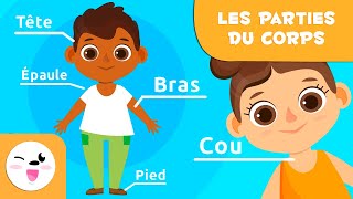 Les parties du corps humain pour les enfants  Vidéos éducatives pour les enfants [upl. by Rohclem]