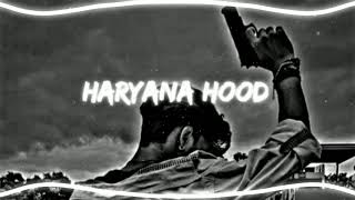 Haryana Hood slowed reverb  PERFECTLY SLOWED [upl. by Casmey426]