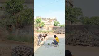 Dev Tum Devon ke ho Bholenath song ped paudha editing short video [upl. by Sakram]