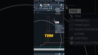 Comando TRIM o CORTAR de AutoCAD 2023  Tutorial en español [upl. by Oisorbma]