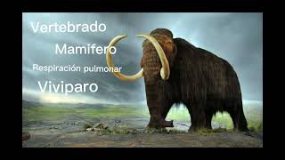 A zooloxía nos filmes quotManny o mamut de Ice agequot [upl. by Lyckman]