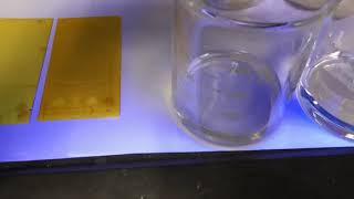 Why does tonic water glow under UV light [upl. by Runstadler]