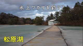 【ワカサギ釣り】2024年1月22日 桟橋釣り 松原湖 [upl. by Faustus]