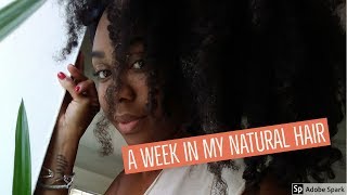 A week In My Natural Hair [upl. by Amaleta]