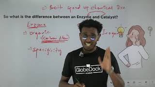 GlobeDock Biology grade 11 unit 3 what are enzyme [upl. by Etteyafal]