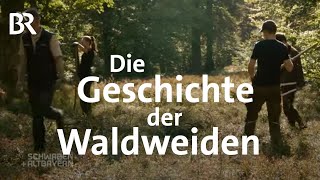 Schachtenpflege im Bayerischen Wald  Bayerwald Almen  Schwaben  Altbayern  BR [upl. by Lladnor]