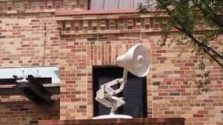 Luxo Jr Debuts at Pixar Place Disneys Hollywood Studios [upl. by Ailehc]