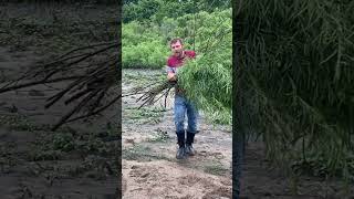 Making A Coracle bushcrafters [upl. by Eilegna230]