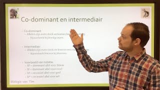 Biologie van Tim  Codominant en intermediair [upl. by Acireh578]