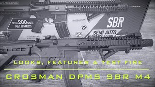 Crosman DPMS SBR  CO2 45mm BB  Looks Features and Test Fire [upl. by Hedvig]