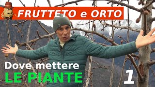 Design del tuo orto posizionamento ottimale delle piante [upl. by Amadeo]