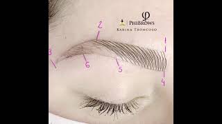 microblading eyebrows tutorial [upl. by Peti563]