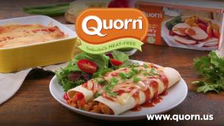 Quorn Leftover Turkey Enchiladas [upl. by Ade]