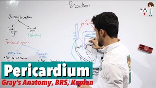 Pericardium Anatomy 50 [upl. by Nitsej141]