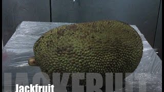 How to prepare a jackfruit [upl. by Assirehc]