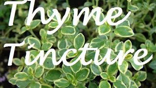 HOW TO Make Cough Medicine THYME TINCTURE [upl. by Lethia]