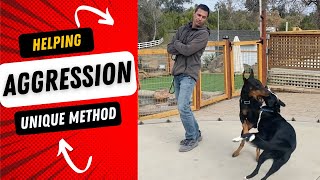 Help dog aggression Part 1 of 2 [upl. by Aihpos]