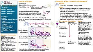 General Anesthesia [upl. by Lonna15]