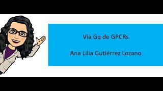 Receptores acoplados a proteínas G GPCRs vía Gq [upl. by Anyk]