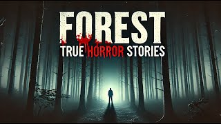 6 DARK Forest Horror Stories That Will Haunt You [upl. by Phares]