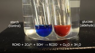 Fehlings solution test for aldehydes using glucose for positive result and starch for control [upl. by Laeno]