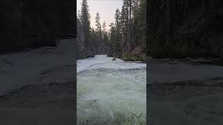 Deschutes River Rapids oregon hiking travel adventure scenery nature river whitewater asmr [upl. by Harding]