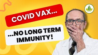 The TRUTH About Covid Vaccine Immunity IMPORTANT [upl. by Licec945]