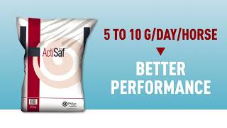 Enhancing Equine Performance with Actisaf® live yeast probiotic [upl. by Odnalref]