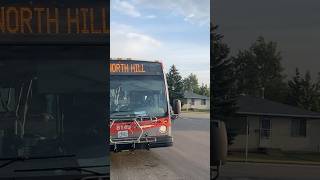 Novabus LFS 8149 On Route 40 To North Hill transit bus shorts short calgarytransit [upl. by Inotna]